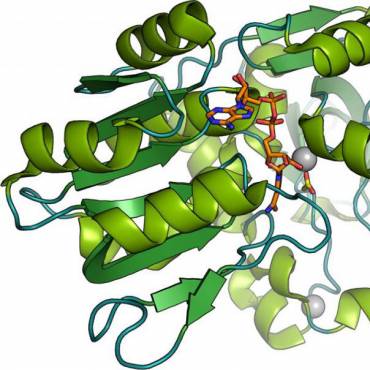 Biocatalysis and Protein Engineering
