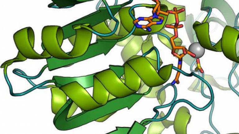 Biocatalysis and Protein Engineering
